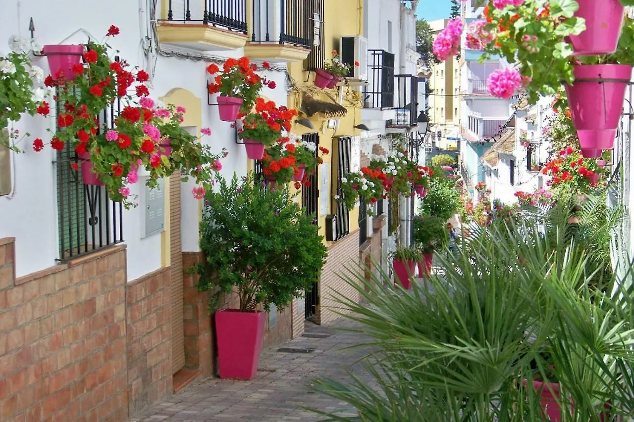 Estepona - Playa - Estudio Con Terraza Solarium Pi16 0*,  Spain